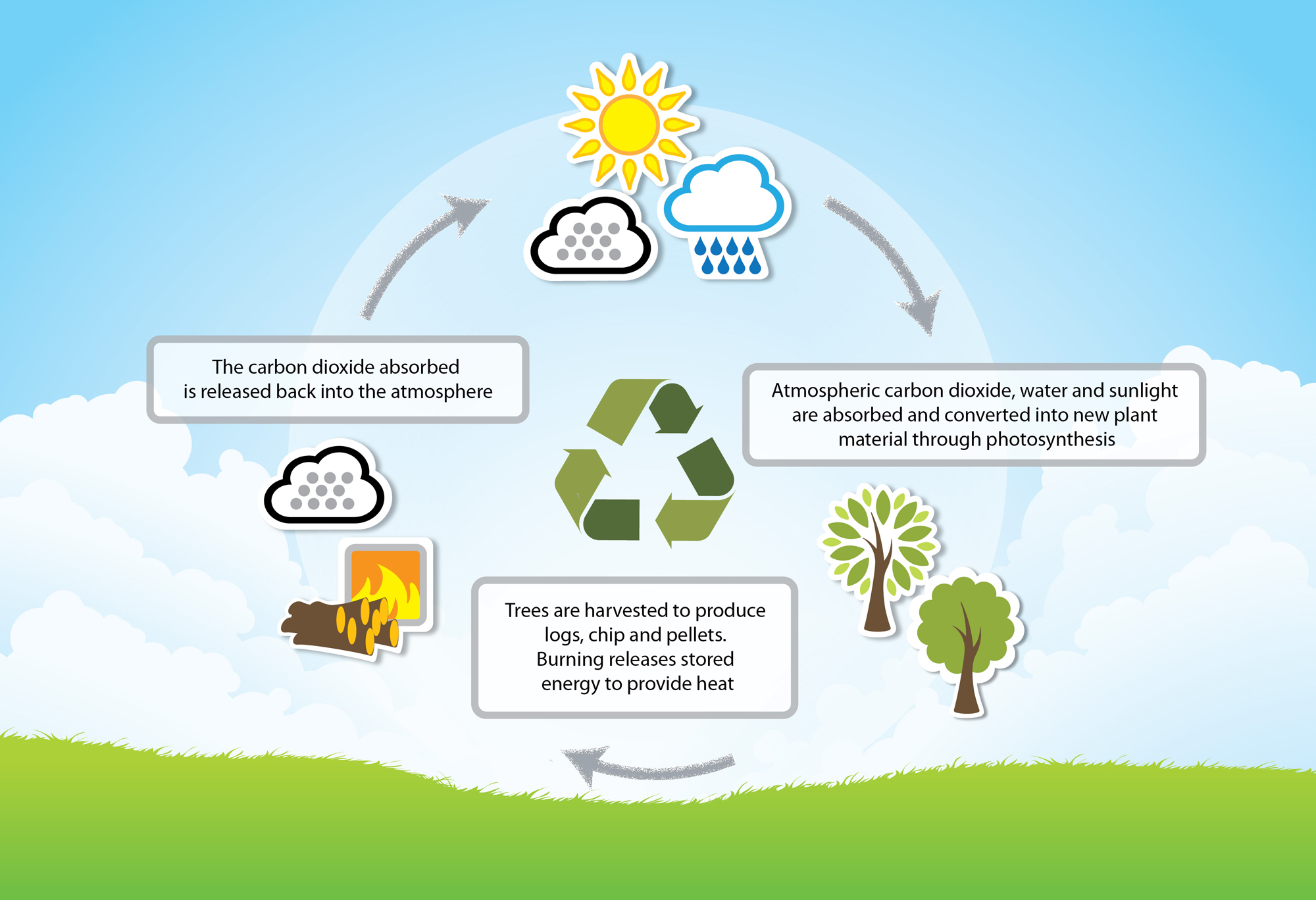 Biomass Systems