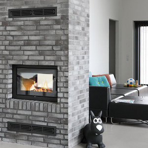 Rais 2.1 glass insert woodburning stove dorset fire by design